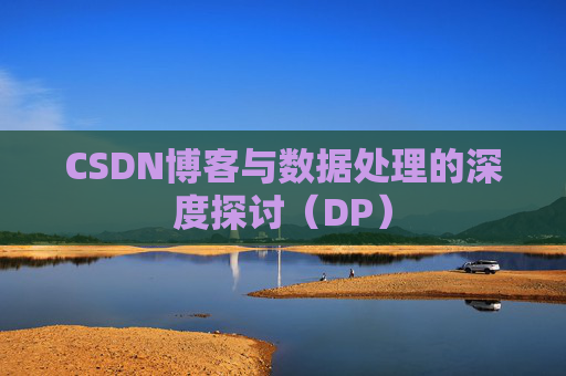CSDN博客与数据处理的深度探讨（DP）